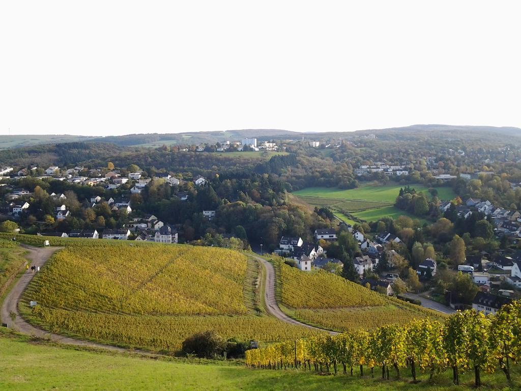 Saar-Mosel-Tal Apartamento Konz Exterior foto